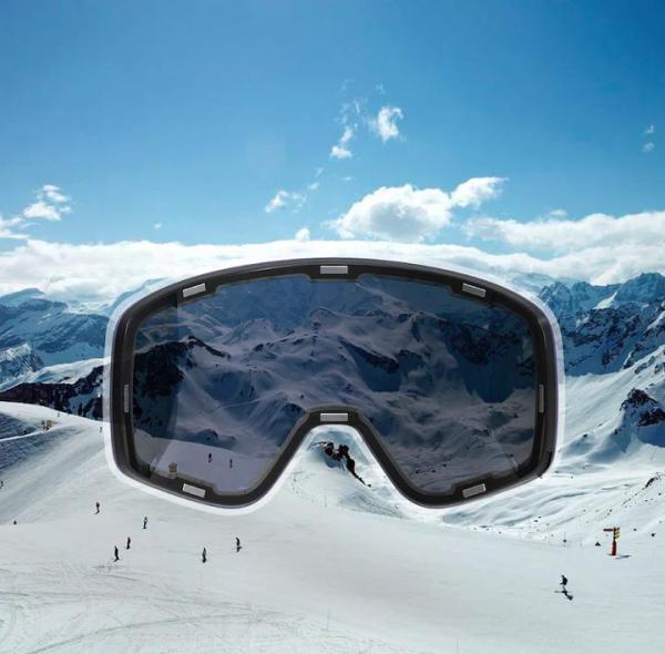 IceBRKR Bone Goggle Unisex Zwart 2024